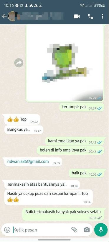 Ulasan pelanggan JasaDesain