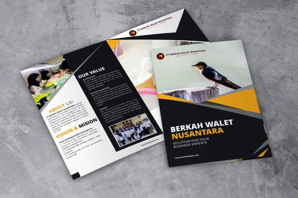 Company Profile untuk Eksportir Sarang Burung Walet: yang Dicek Buyer Hong Kong Sebelum Kirim Kontrak