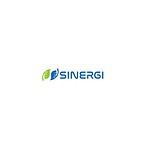 Innovative logo design for Sinergi with green and blue leaf motifs and digital circuit accents.