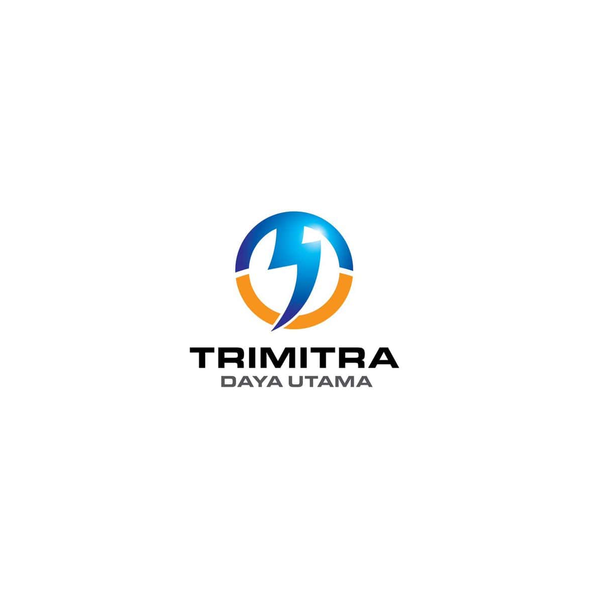 Portfolio logo perusahaan TDU