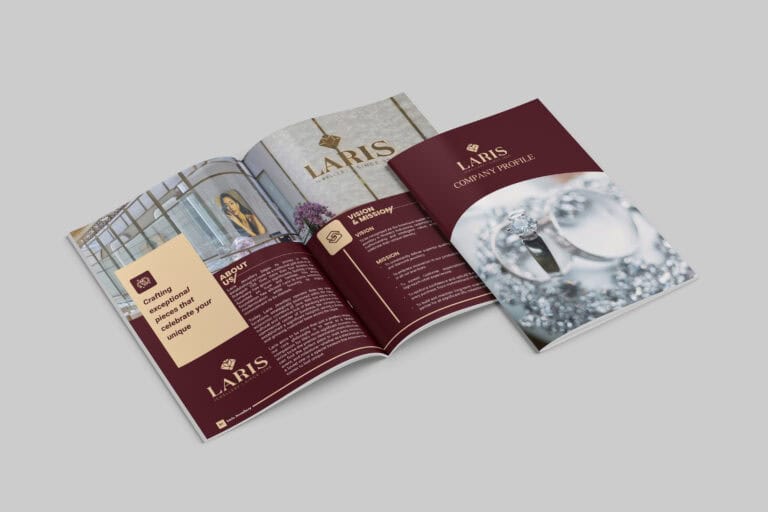 Company Profile Laris